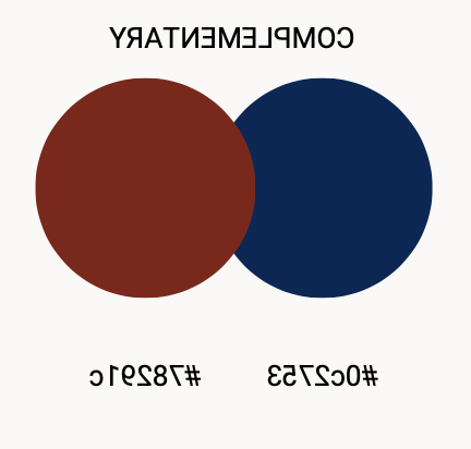 Image of NMT Complementary Color Palette
